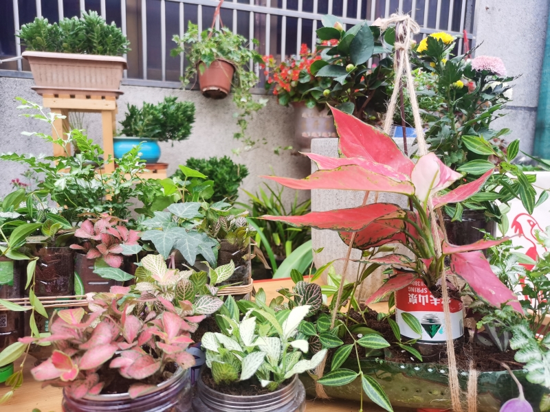 图5优秀作品展示.jpg 图5优秀作品展示.jpg